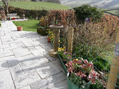 Everlasting Fence on Adding Three Troughs Along The Fence With Daffodils  Everlasting